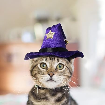 Amazon.com : LESYPET Cat Costume Hat 