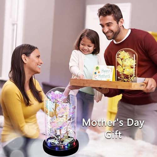 Miniatura 24 de Regalos de cumpleaños para mujer, rosa de la Bella y la Bestia en cúpula de cristal, rosa de seda con luces, regalo para mamá, regalos románticos