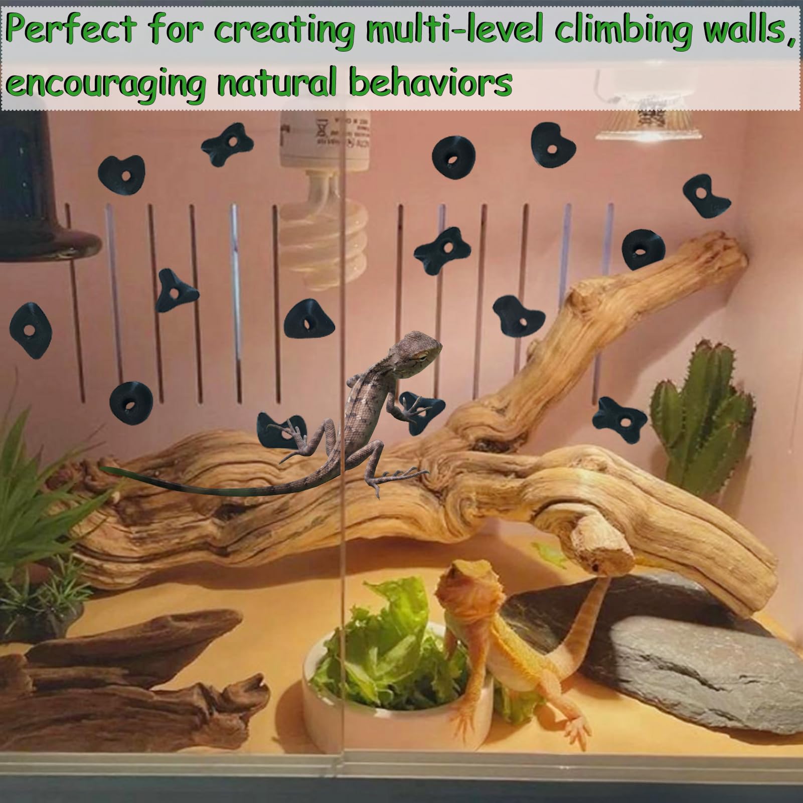 Okueejur 32PCS Rock Climbing Holds for Bearded Dragons Climbing Rock Wall Grips for Bearded Dragons Tank Accessories Reptiles Toy Rock Wall Holds (Black) - Image 2