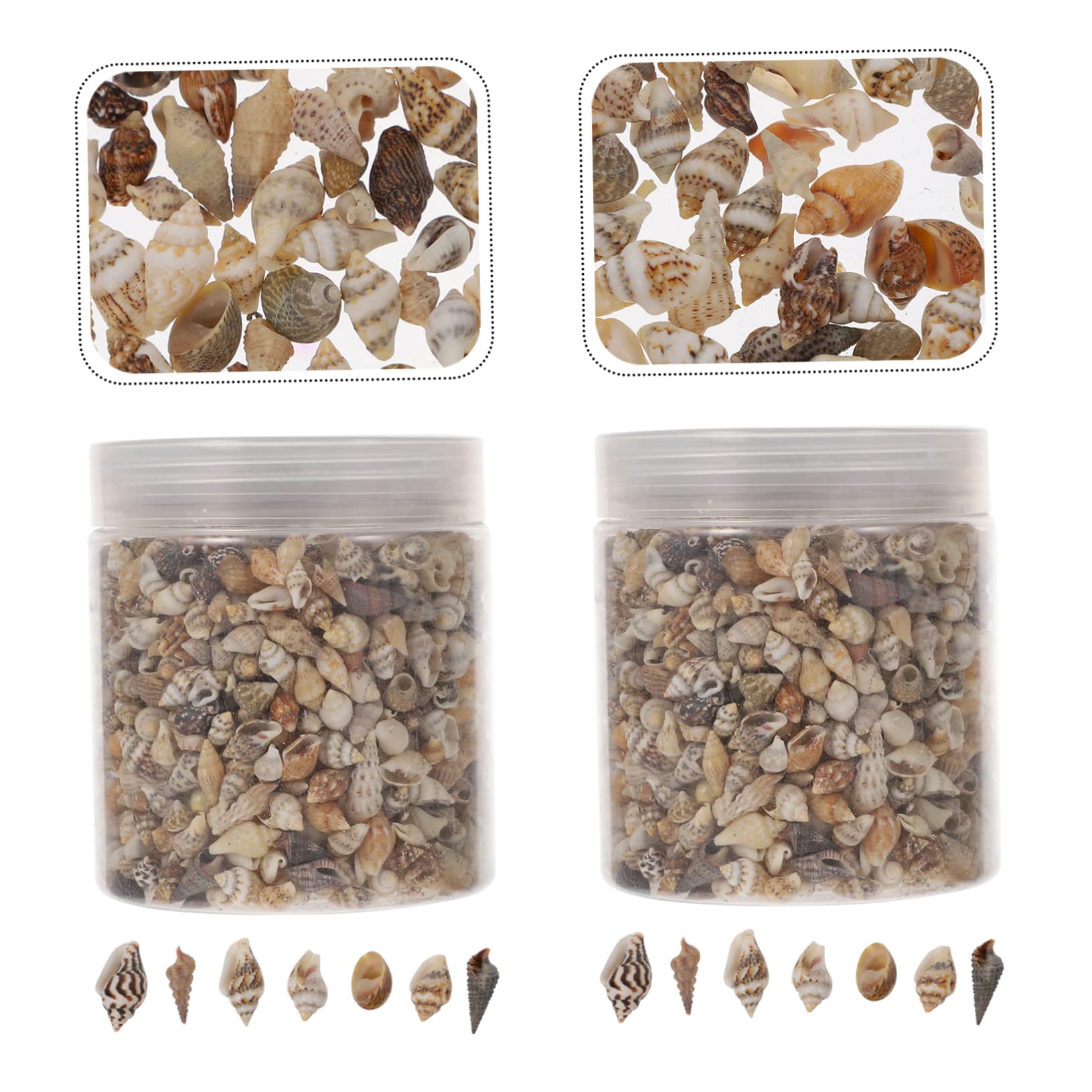 Riempitivo Conchiglia Naturale per Lavori Artigianali 2 Scatole | Decorazione di Riempimento Fai da Te, per Scatole e Cornici, Resistente alla Deformazione