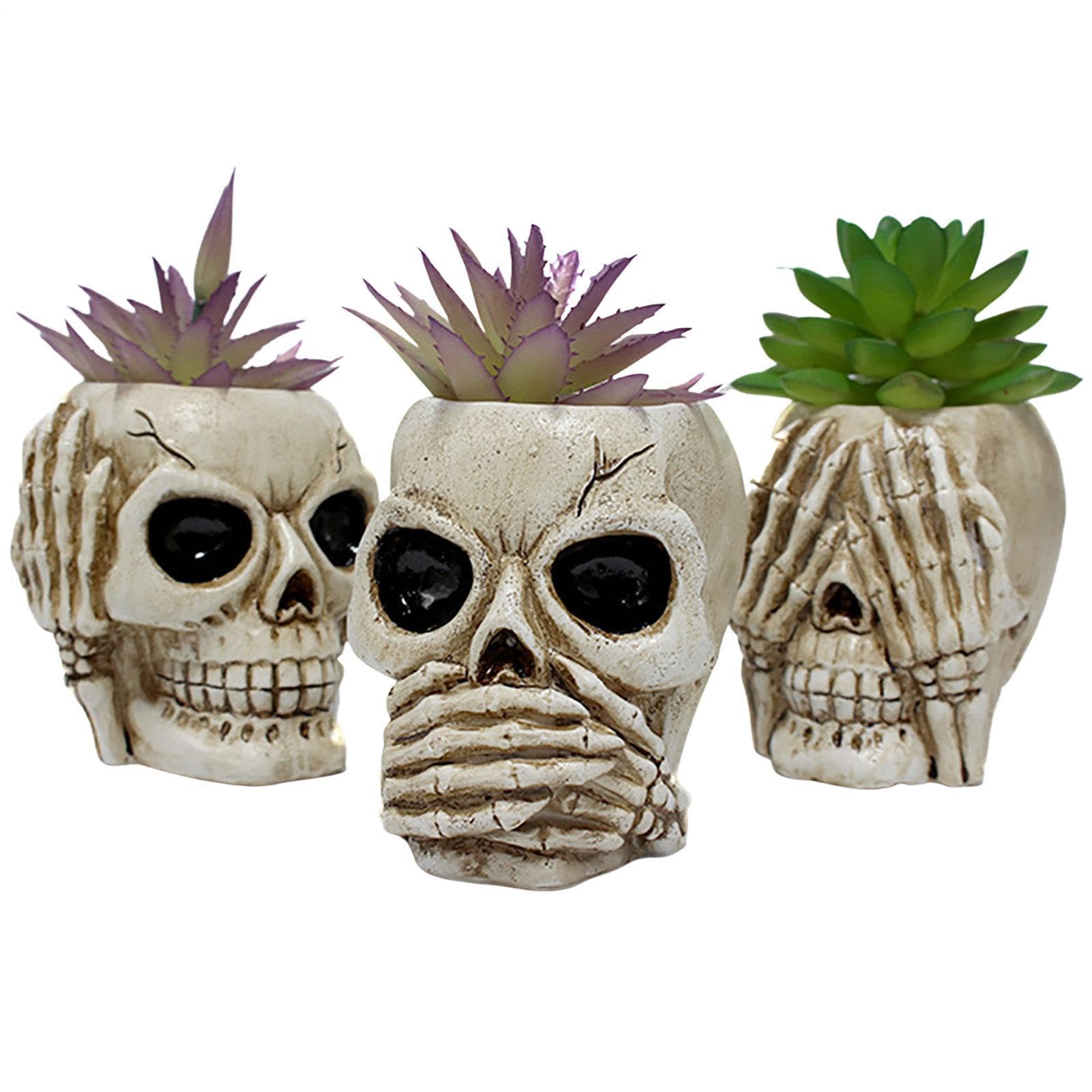 Pot de fleurs succulente tête de mort - Solution déco originale pour petits espaces