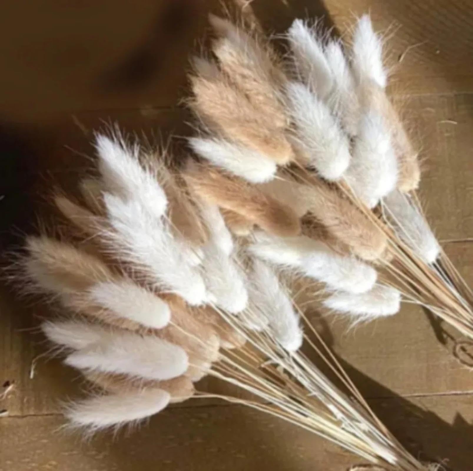 Decorazione per la stanza, 100 pezzi, 45 cm, bouquet di coniglio essiccato naturale, coda di coniglio, fiori di lagurus, erba della pampa, per feste, boho, matrimonio, decorazione per la casa, stile 1