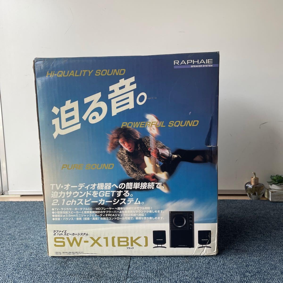 Amazon.co.jp: 迫る音。RAPHAIE SW-X1 BK : おもちゃ