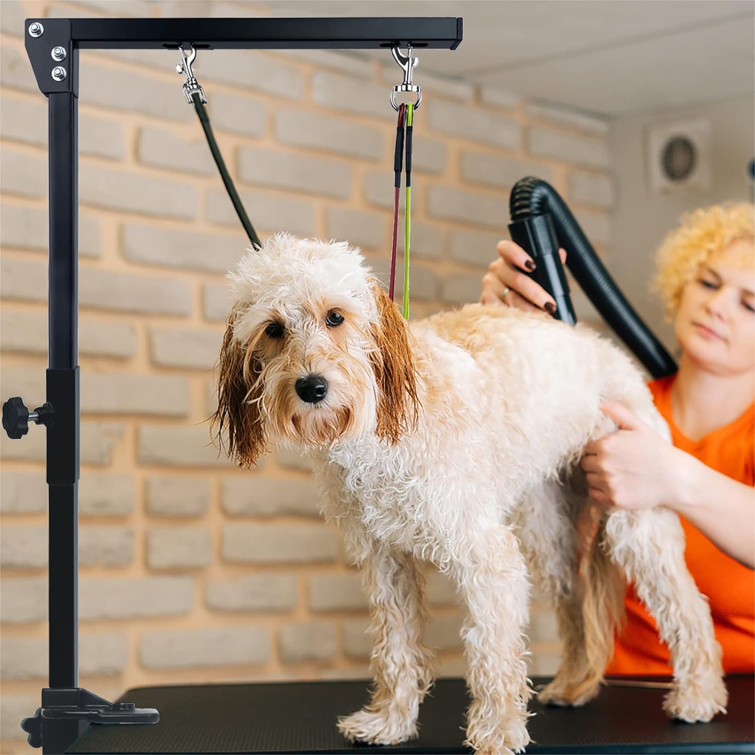 Brazo plegable para aseo de mascotas con abrazadera, cuidado para mascotas con correa ajustable para perros y soportes
