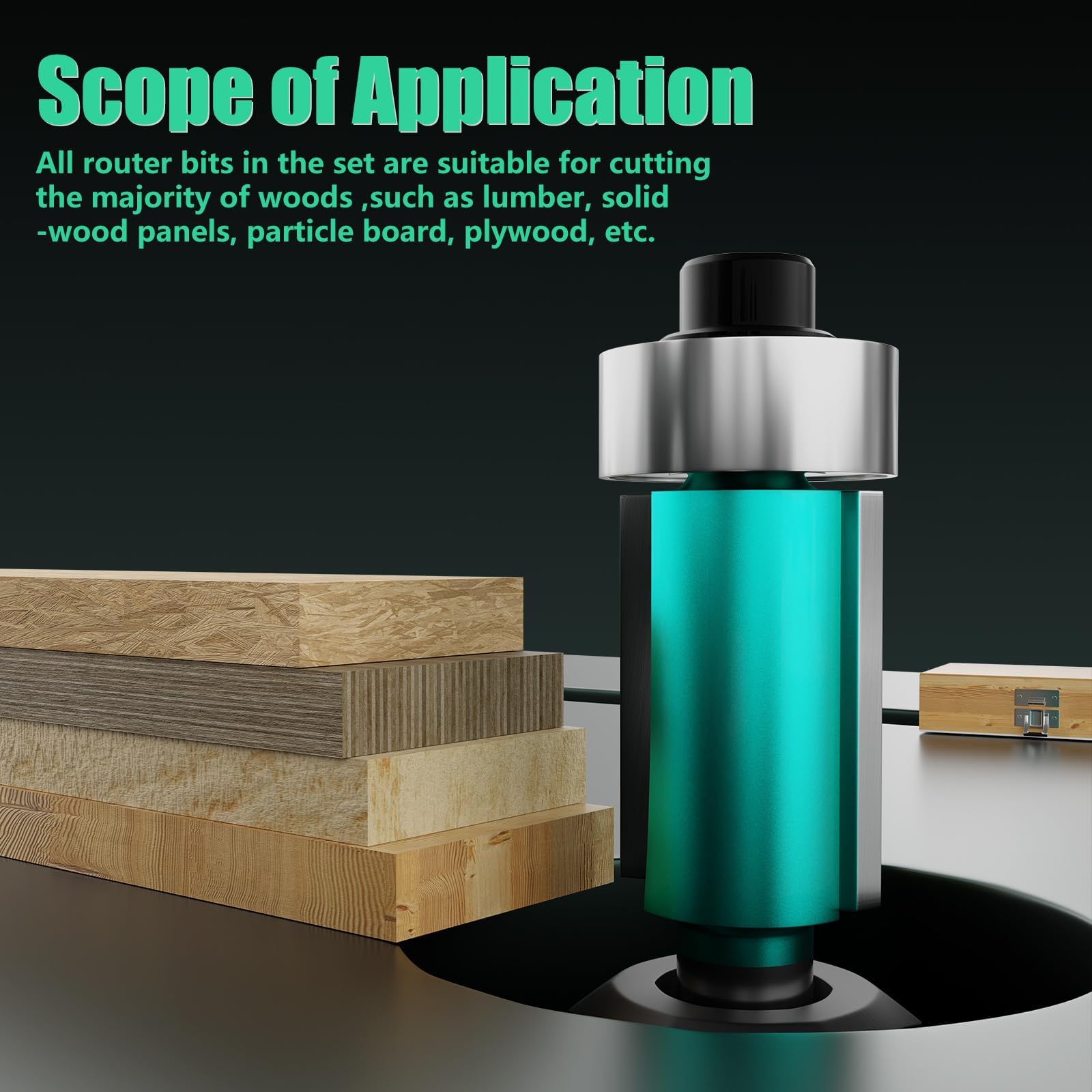 CSOOM Set di 20 frese per legno – Set di frese professionali in carburo con scatola per legno