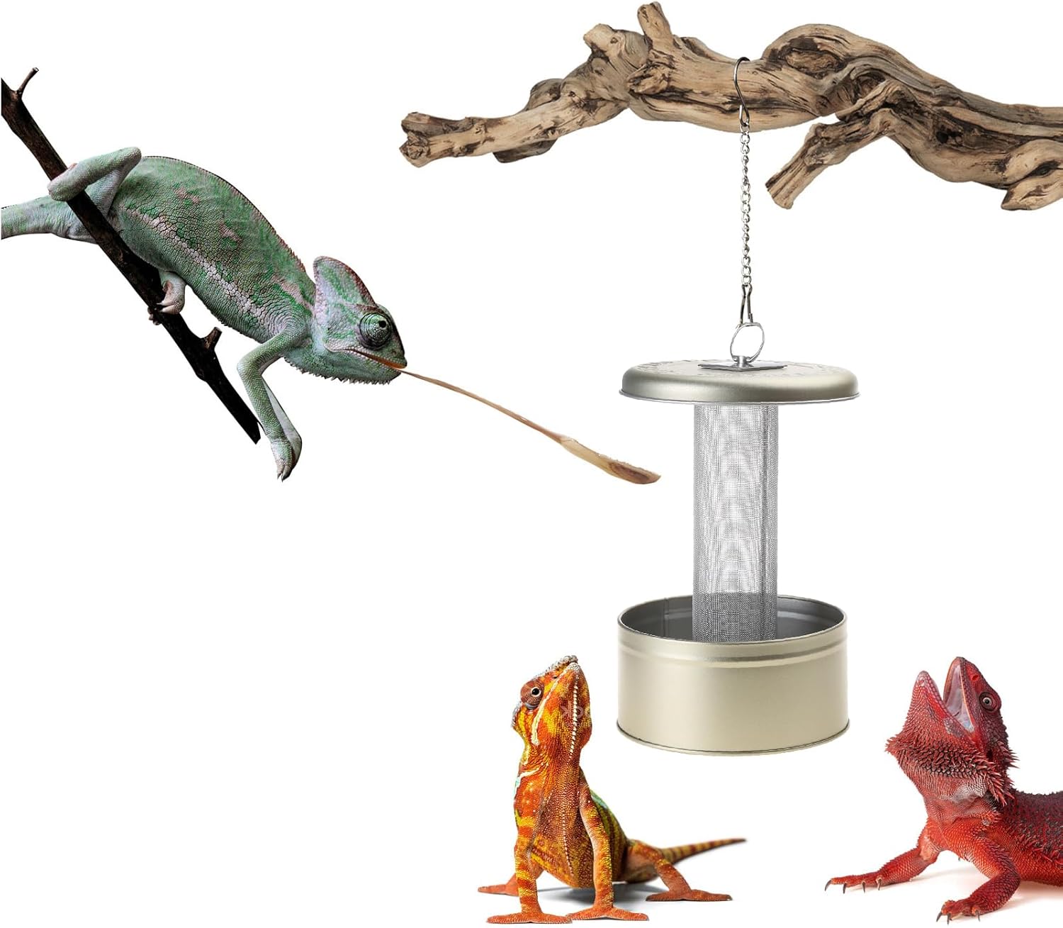 Hanging Bowl Integrated Anti-Escape Iron Hanging Water Food Basin Pet Water Feeder Suction Feeders for Indoor Reptiles Toy