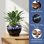 AVLA 3 Pack Ceramic Flower Pots, Gardening Drip Glazed Planter, Plant Pot with Drainage Hole and Saucer, 7/5/4 Inch Rustic Houseplant Container for Succulent Herbs Cactus Orchid, Home Indoor Outdoor