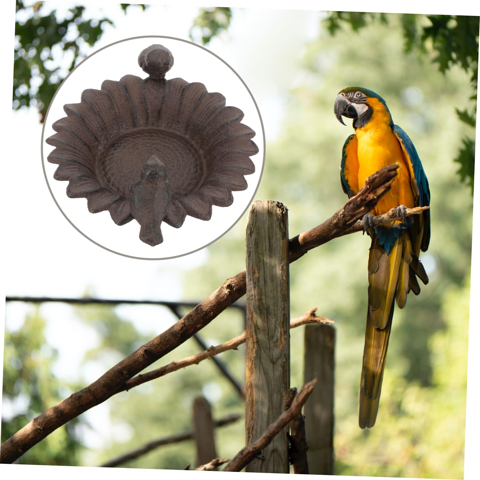 Abaodam Mangeoire à Oiseaux pour Jardin Nourrisseur Compact et Stable pour Petits Oiseaux pour Canaris Perroquets et Alouettes Décoration pour Balcon Cour et Jardin