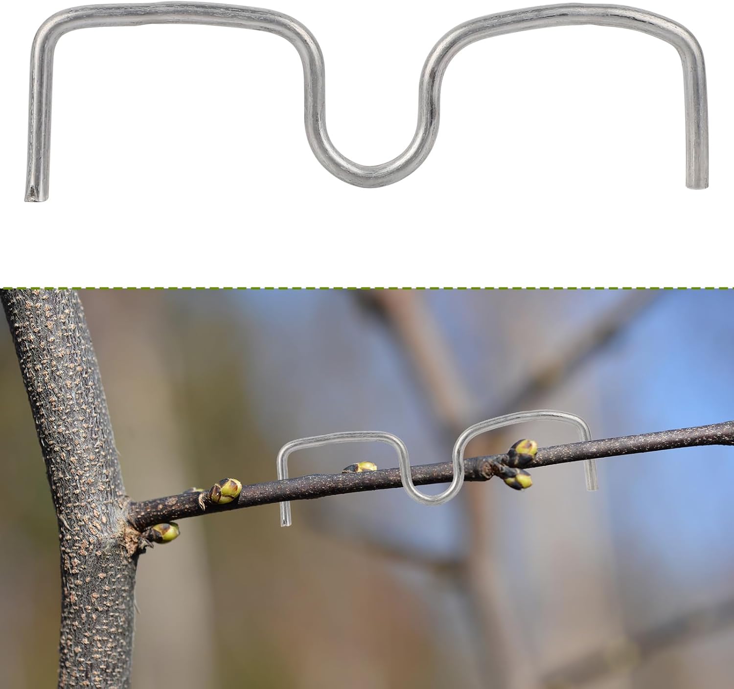 Condition photo showing New/Like New for 50pcs fruit tree puller limb spreader, 4.33x1.26in galvanized m-type branch trainer angle benders for bonsai and orchard trees adjustable plant support for training & higher yield