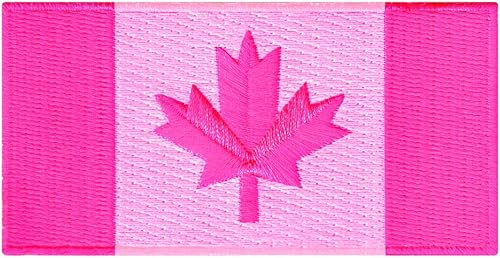 Miniatura 125 de Cypress Collectibles - Parche de la bandera de la India - Apliques bordados de alta calidad - Parches para planchar de país asiático