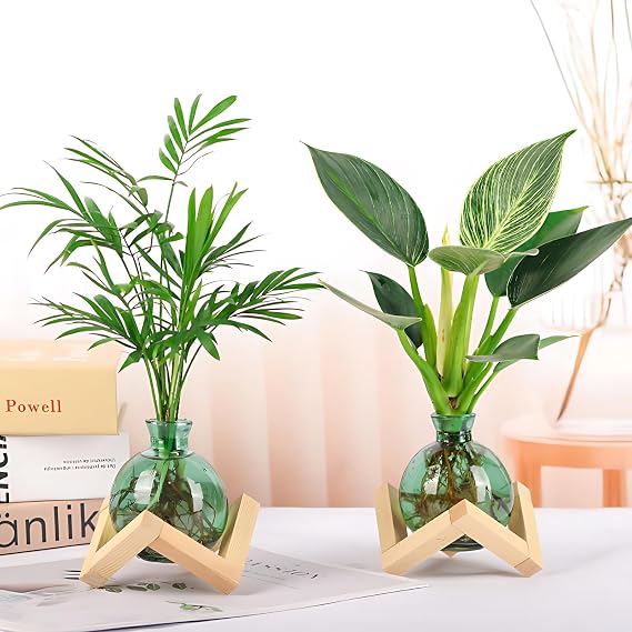 Cute Plant Propagation Station Glass Bulb Water Vases Green Office Decor