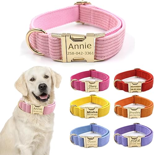Collares de perro personalizados personalizados con nombre de mascotanúmero de teléfono grabado hebilla de metal dorado  Tamaños ajustables Collar