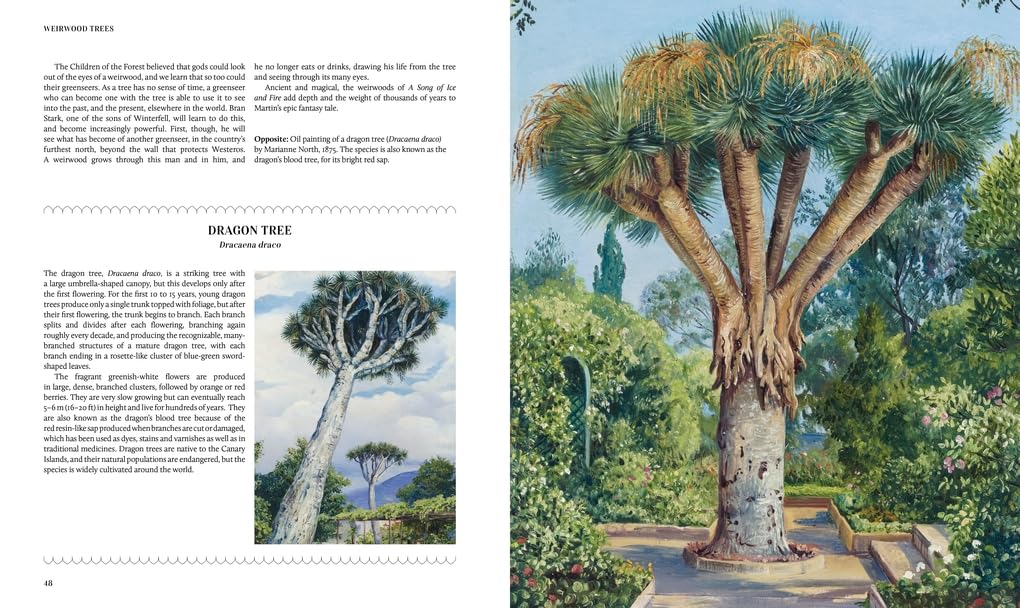 Botanica Fantastica: The illustrated guide to fantastical plants from fictional worlds