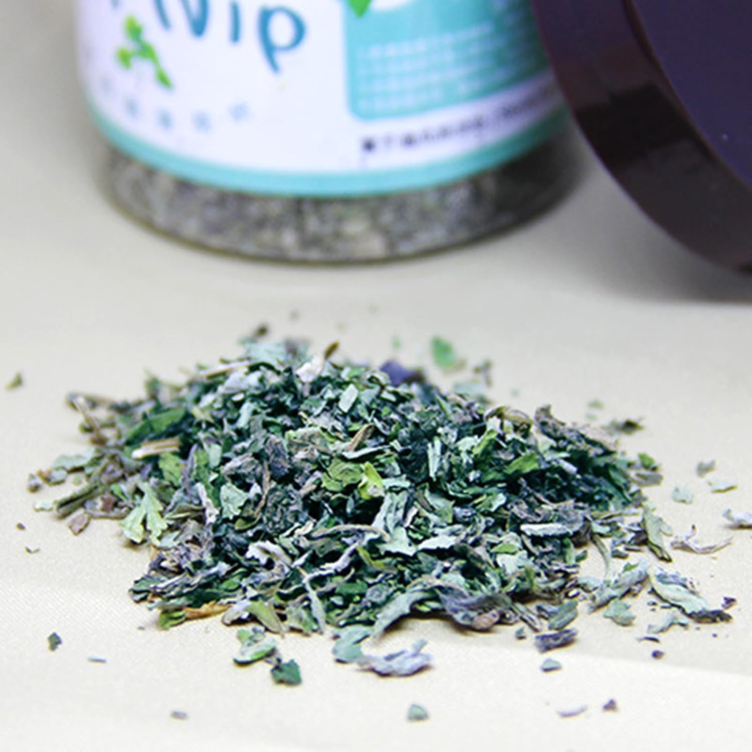 Catnip Plant, Fresh Catnip For Cats, Natural Attractant, Interactive Calming Treat, Indoor Kitten Enrichment & Play, Grow At Home, 4 Inches Pot, Green, 6.5x8.5cm, Easy To Grow, 1 Pack 9 71FM7F5dVqL. AC SL1500