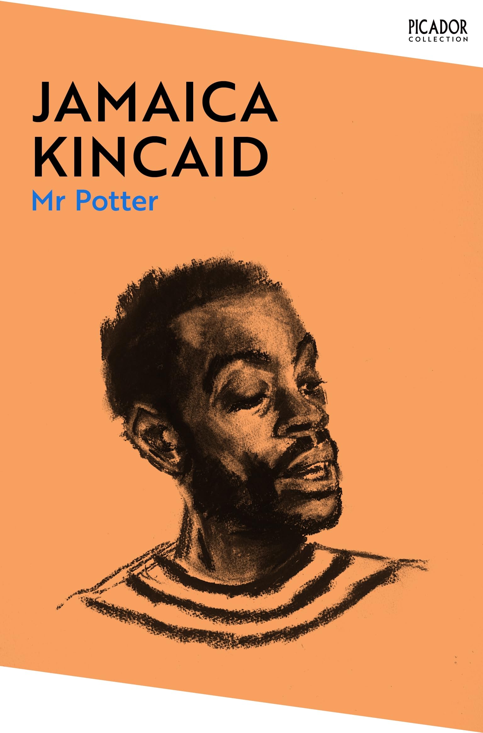 Mr Potter by Jamaica Kincaid (Paperback Book)