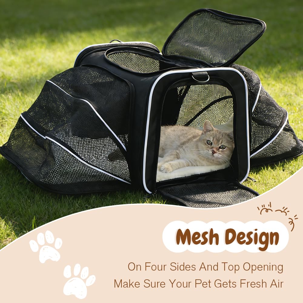 Double Expandable Cat Carrier,Airline Approved Soft-Sided Pet Travel Carrier for Small Dogs Cats Under 15 lbs,Waterproof 600D Oxford Fabric with Washable Replacement Liner,Odor-Free & Claw-Proof Black - image 7