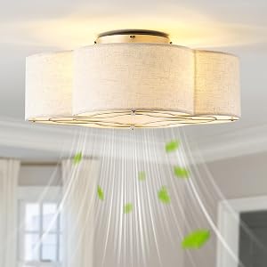 Boho Ceiling Fans with Lights 20 Low Profile Ceiling Fan with Light Remote Control Bladeless Flush Mount with