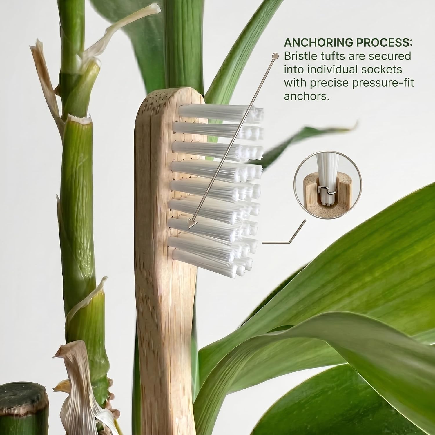 Premium Castor Oil Bristle Natural Bamboo Toothbrush, Splinter Free, Shedding Free, BPA Free, Soft/Medium Effective Biodegradable Toothbrush 4-Pack