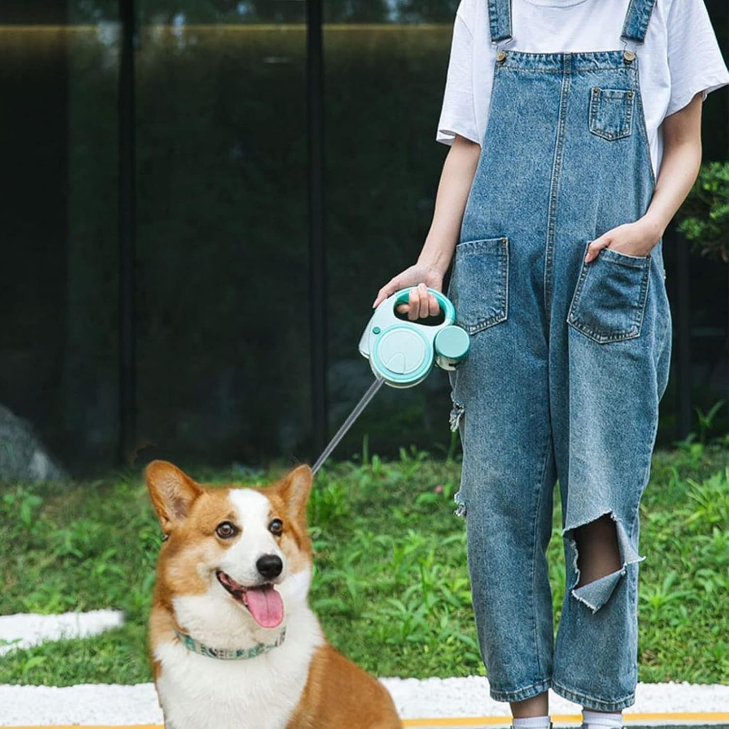 Guinzaglio Cane Retrattile Resistente 16Ft con Luce LED e Dispenser Sacchetti, Extendable Pet Lead 360 Gradi Senza Nodi per Cani Piccoli Medi Grande Fino 110 LB, Blue