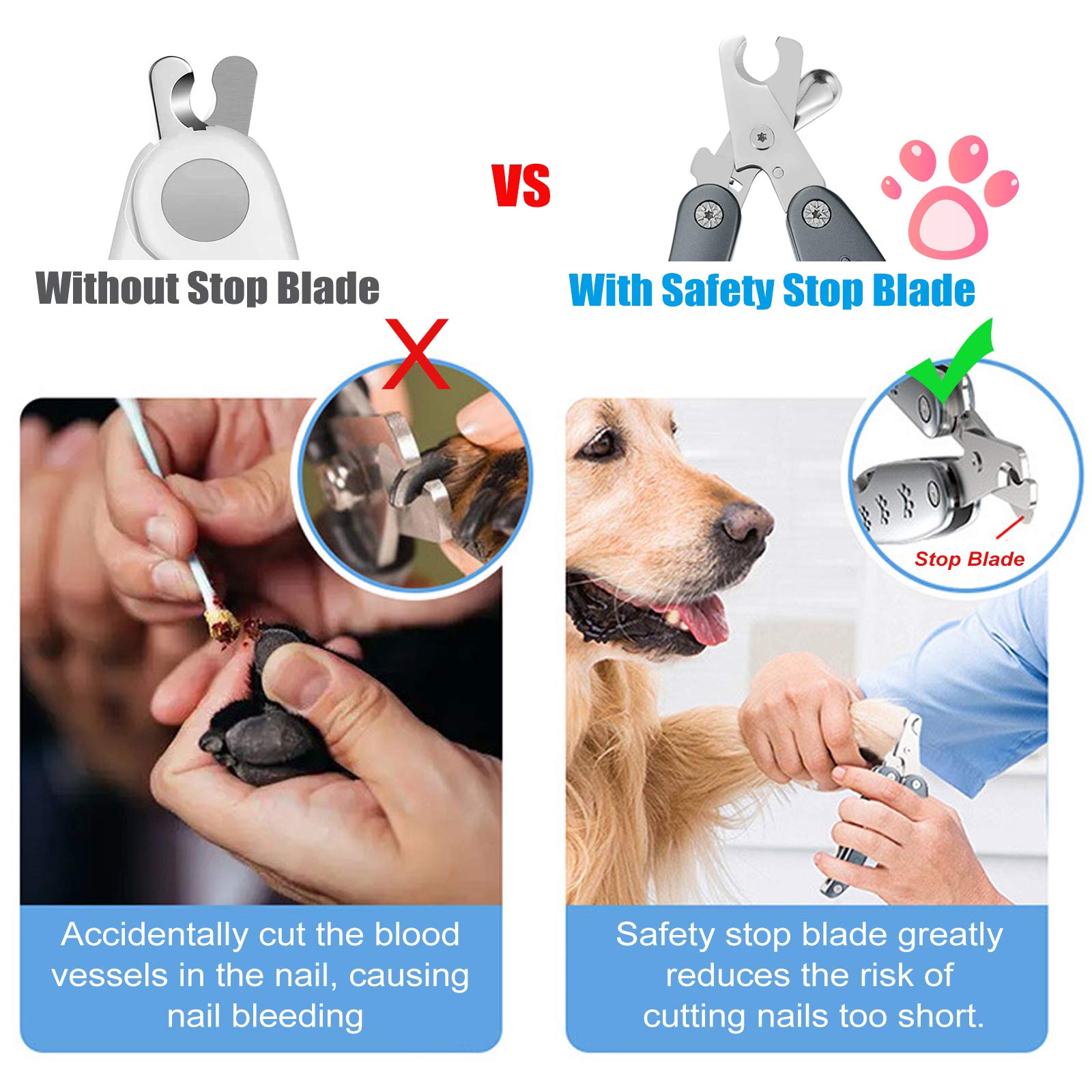 Can A Dog Bleed Out From Cutting Nail Too Short