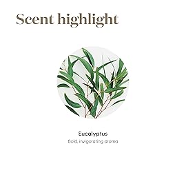 Eucalyptus Radiata Essential Oil 15ml by Young Living Essential Oils