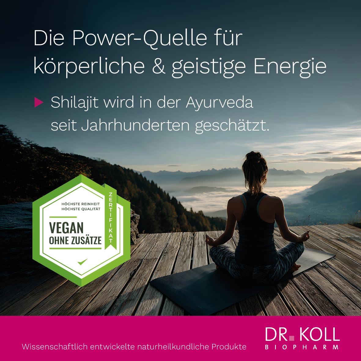 Shilajit Premium-Kapseln von Dr. Koll – hochkonzentriert 1.300mg & naturrein direkt aus dem Himalaya, laborgeprüft – 60 Kapseln, MADE IN GERMANY – vegan, gelatinefrei, laktosefrei, glutenfrei