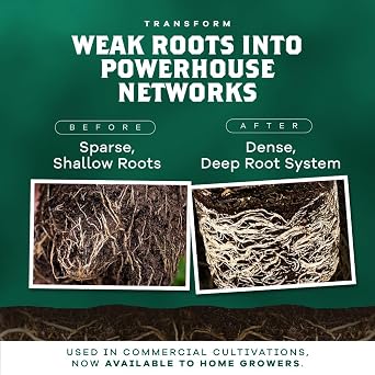 DYNOMYCO Granular Mycorrhizal Fungi Inoculant, 100g / 3.5oz Boosts Root Growth, Yields & Nutrient Uptake 900 Propagules/g, Concentrated Granules, OMRI Listed Biofertilizer for Plant Growth