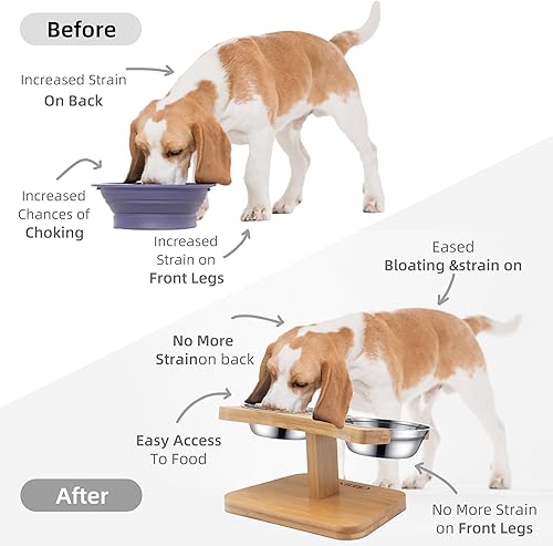 Miniatura 3 de Cuencos inclinados inclinados para perros Bulldogs franceses, cuenco de comida de acero inoxidable elevado con soporte para alimentación (2)