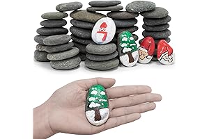 Kids Rock Painting, 40 Pcs Natural River Rocks for Painting, 2-3 Inches...