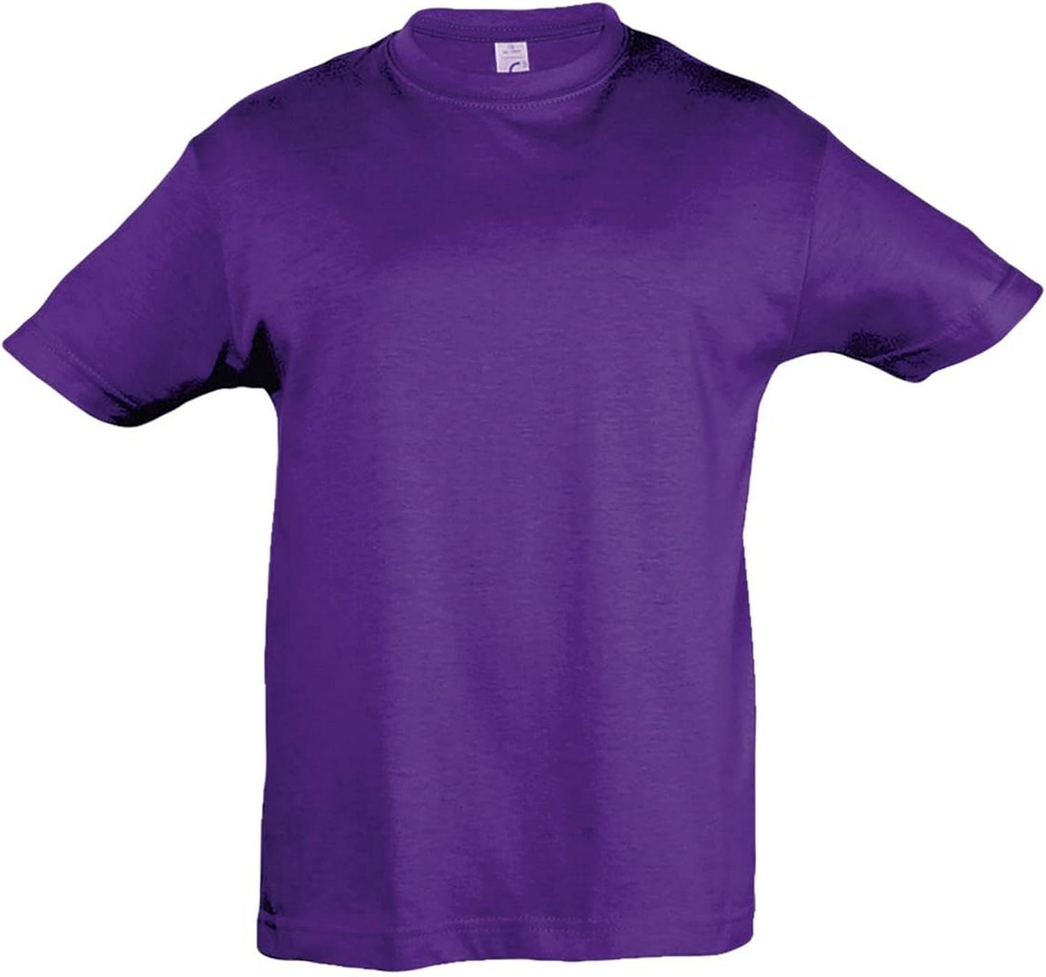 SOL'S Kids Big Girls Regent Short Sleeve T-Shirt (8yrs (47-51 inches)) (Dark Purple)