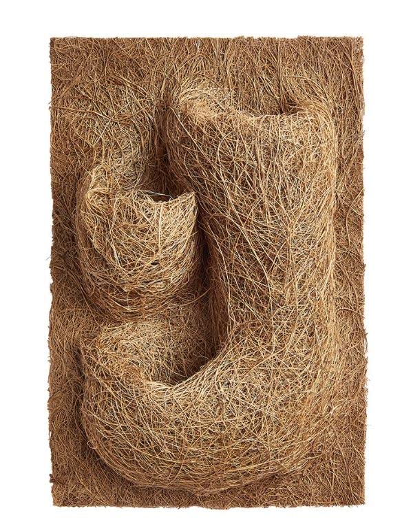 Swell Reptiles Coco Background Planting Mat Vivarium and Terrarium Decor (Coco Planting Mat 30 x 20cm)