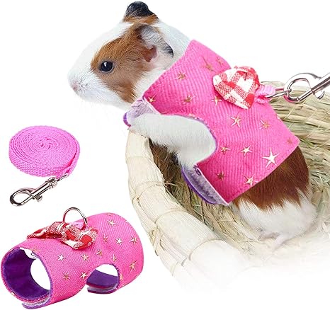 guinea pig leash amazon