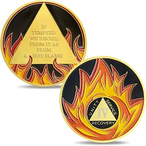 Medaglia Di Sobrietà 19 Anni – Chip AA Con Fiume E Montagne, Simbolo Di Recupero Per Uomo/donna, 3,5 Cm - 2