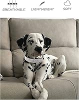 Vista 4 de Collar de perro para perros pequeños, collares ajustables de cuero de gamuza para perro, collar de perro rosa para gato, collar de perro