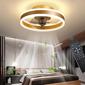 LED Ceiling Fans with Lights Reversible Remote, 6 Speeds Modern Bedroom Fan Ceiling Light Quiet Dimmable Small Ceiling Fan Light for Living Room, Gold 40CM