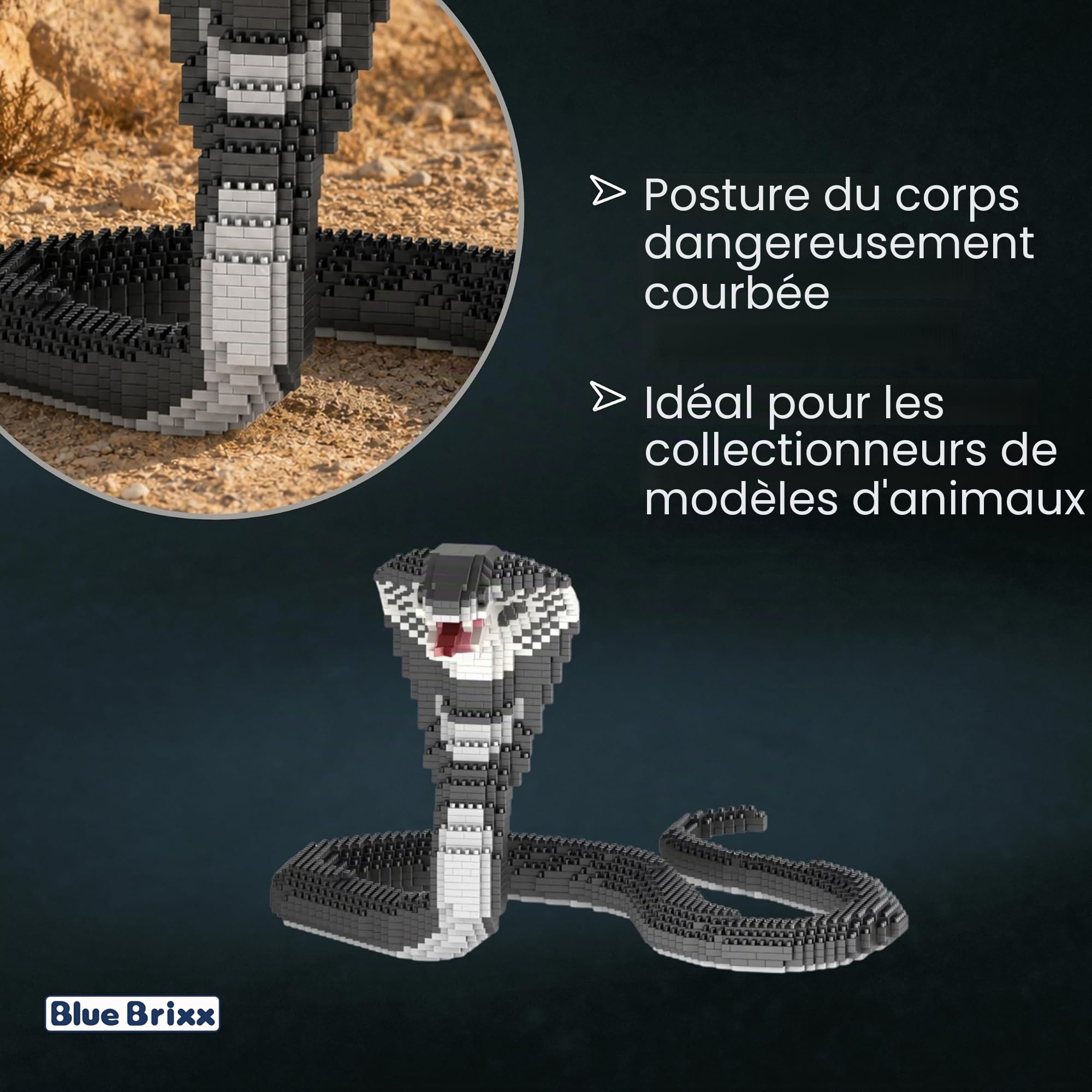 BlueBrixx Pro 108598 – Cobra (Diamond Blocks) en briques de construction avec 2016 éléments de construction