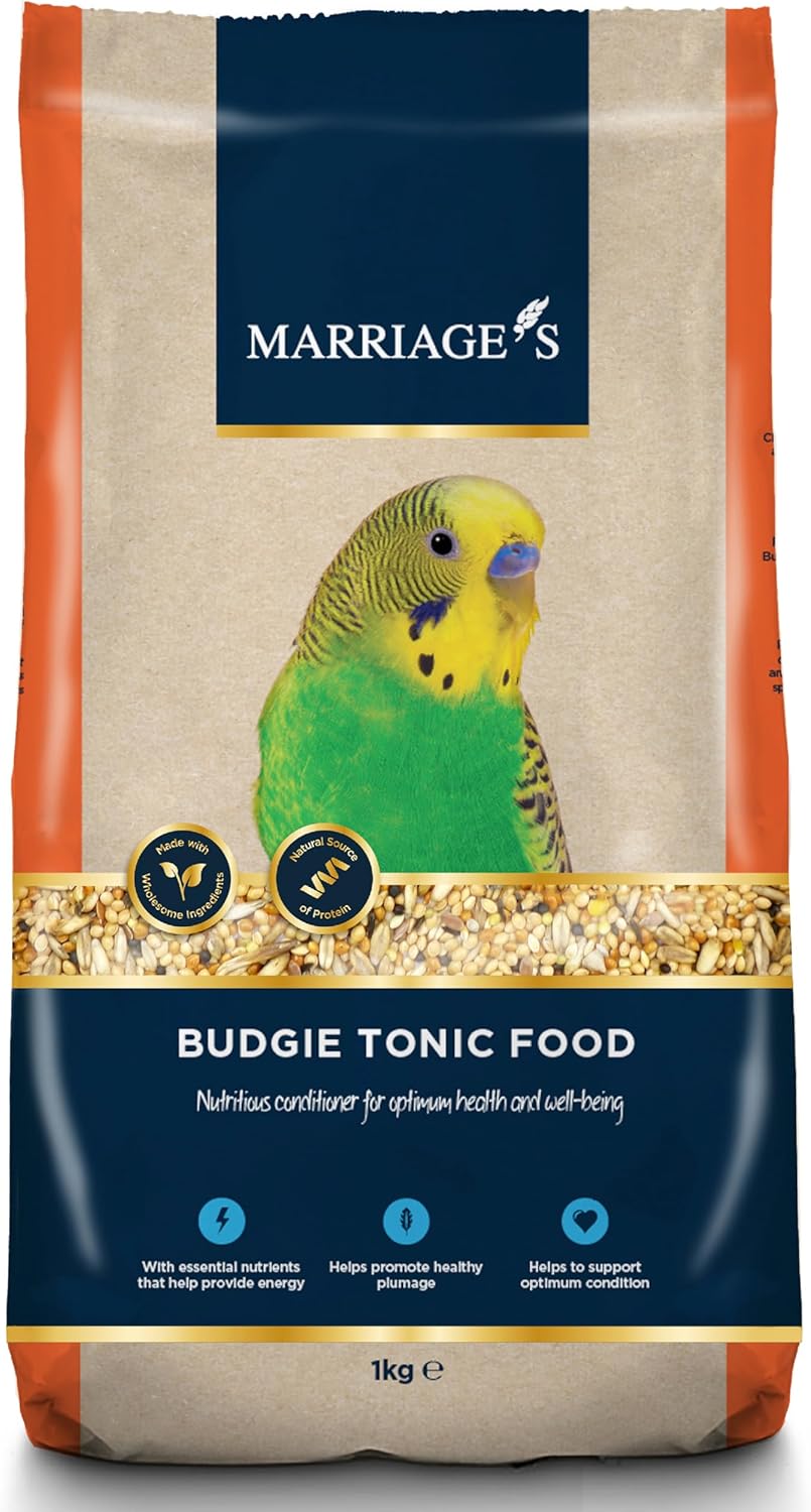 A closer look at High Protein Budgie Seed