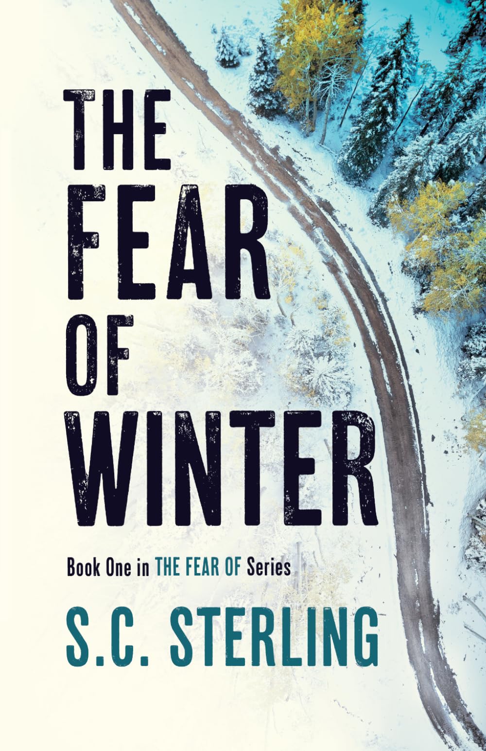 The Fear of Winter: Book One in The Fear Of Series: A Kidnapping Crime Thriller: 1