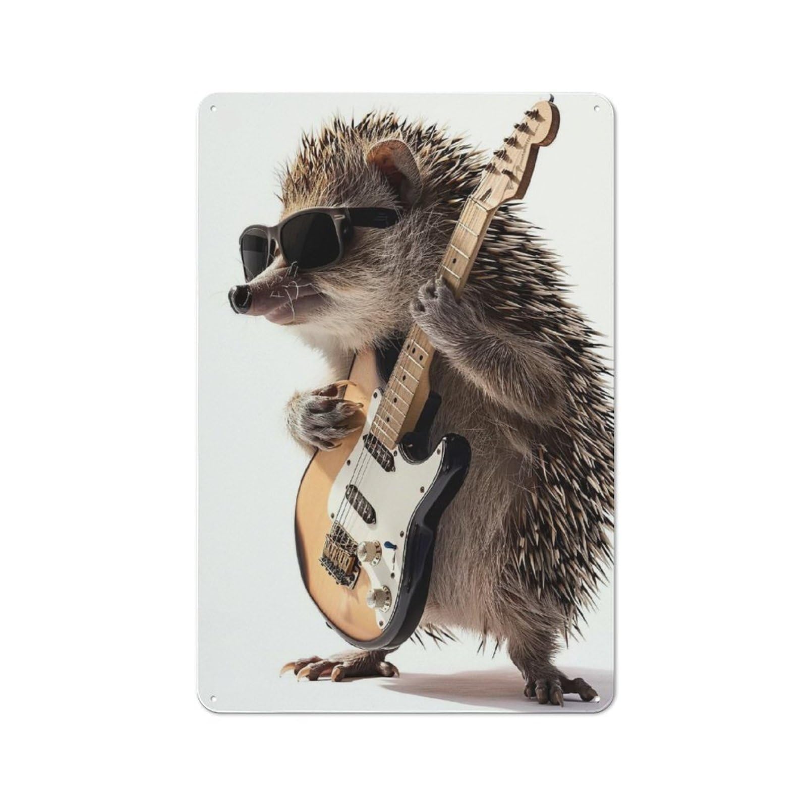 Metal Gift Sign with Hedgehog Guitar Design 30x20cm, Character Room Wall Plaque for Flat, Dorm Room, Lounge Or Cafe