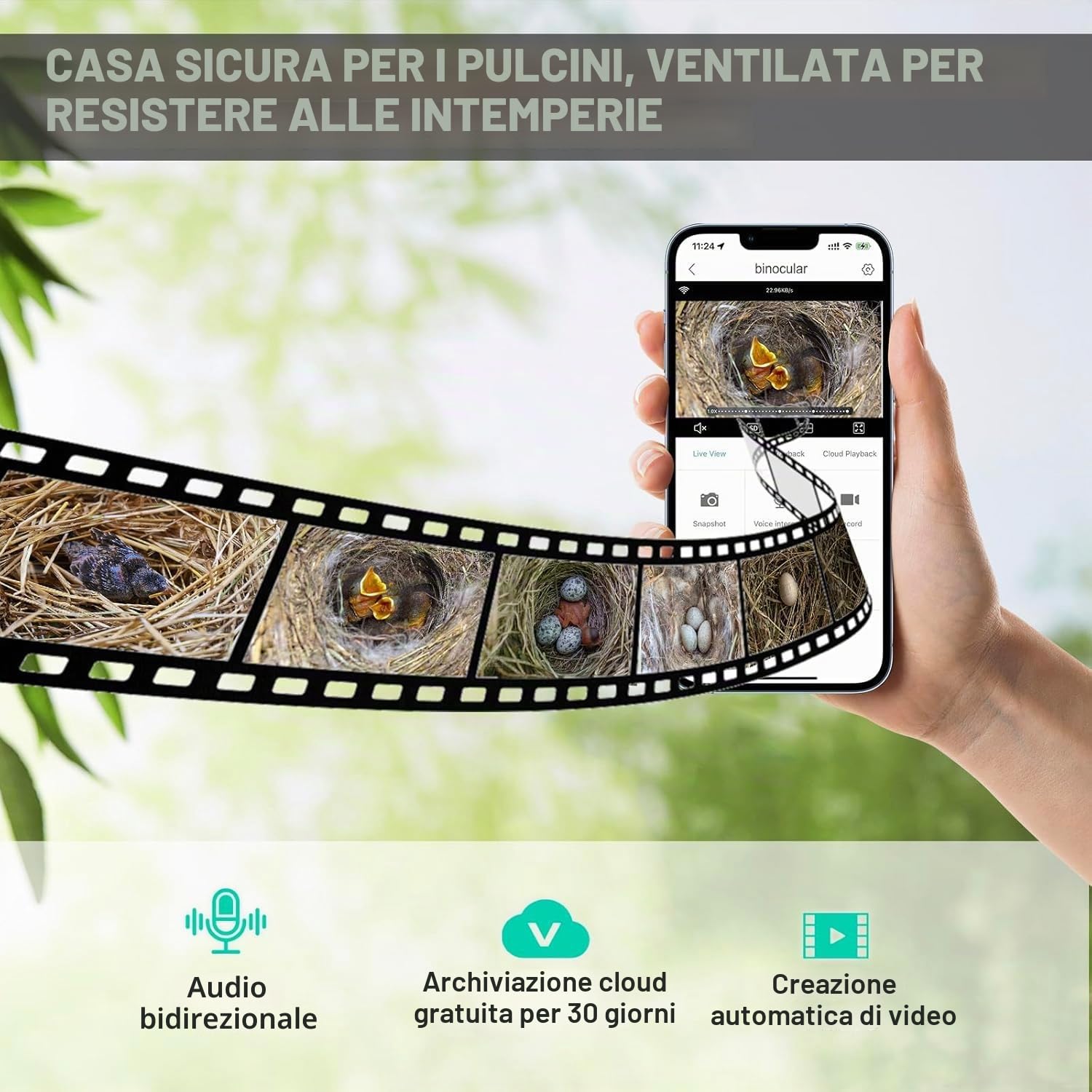 Casetta per uccelli con fotocamera, 5MP HD, per esterni, notifica WiFi 2,4 G e App, osserva la nidificazione e la schiusa, registrazione automatica di video degli uccelli e rilevamento del movimento