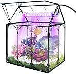 Plant Terrarium Kit with Grow Light, Rifny Small Glass Terrarium Jar with Absorbent Mat and Lid for Venus Fly Trap Succulent Live Air Plants Indoor Home Office Decor (Black, 7.1 x 4.8 x 8.8 inch)