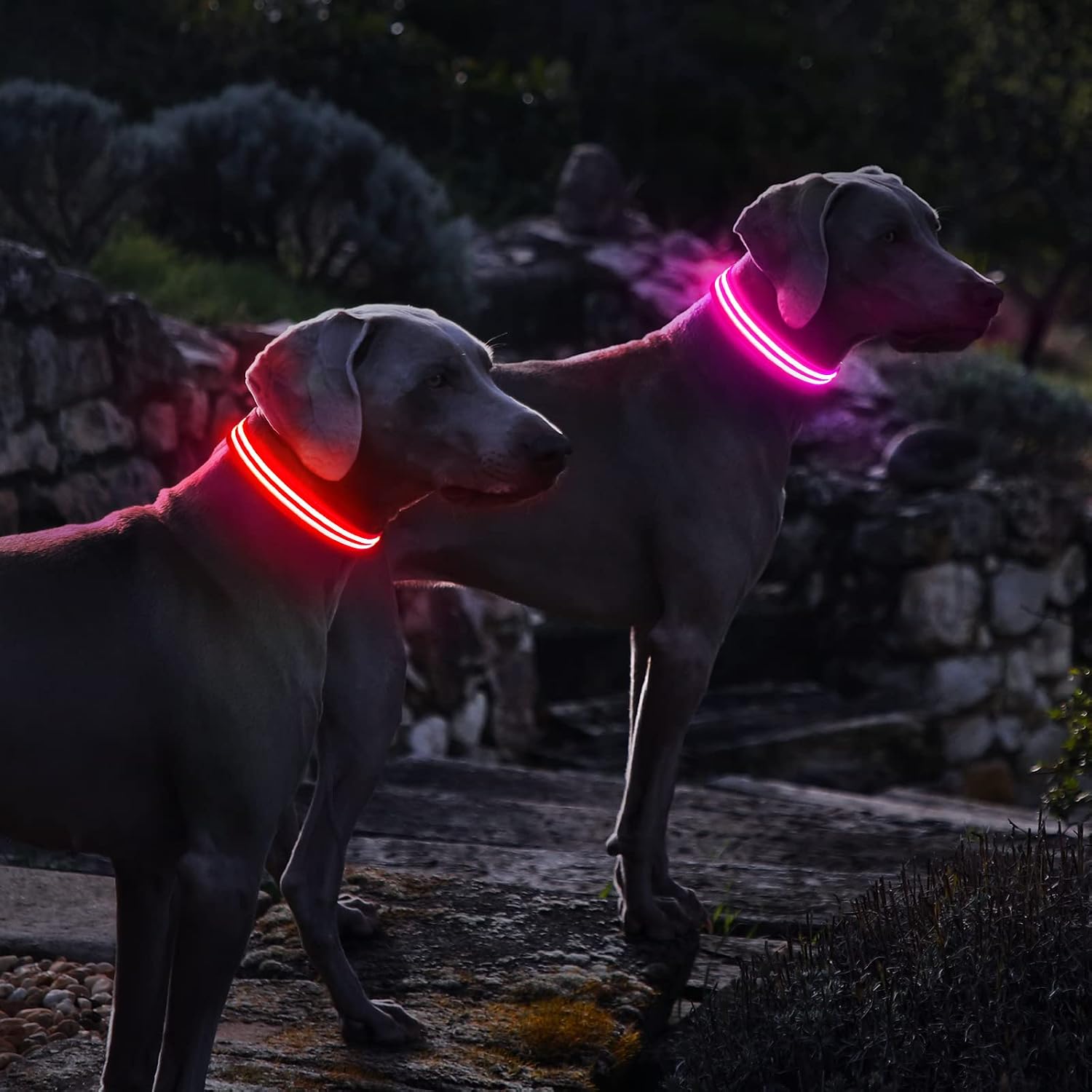 PcEoTllar Lighted Dog Collars for Night, Light Up Dog Collar Rechargeable Water-Resistant Flashing LED Dog Collars Safety Glow in The Dark Dog Collars Light for Large Small Medium Dogs