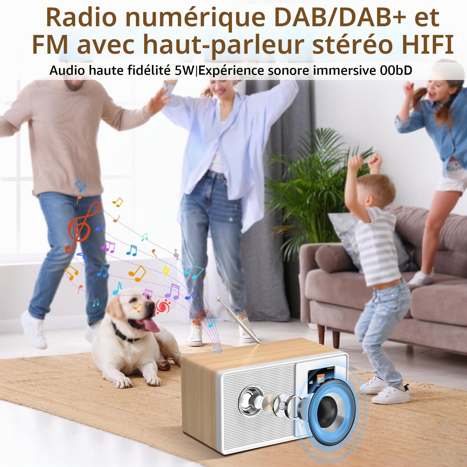 Radio Internet WiFi Dab+ avec Bluetooth 5.3 et écran Couleur