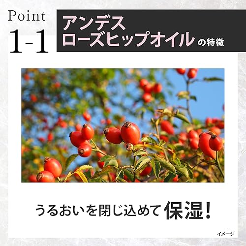 Miniatura 4 de LUX Premium botanifique Bomba de champú de reparación de daños 18.0oz (510g)