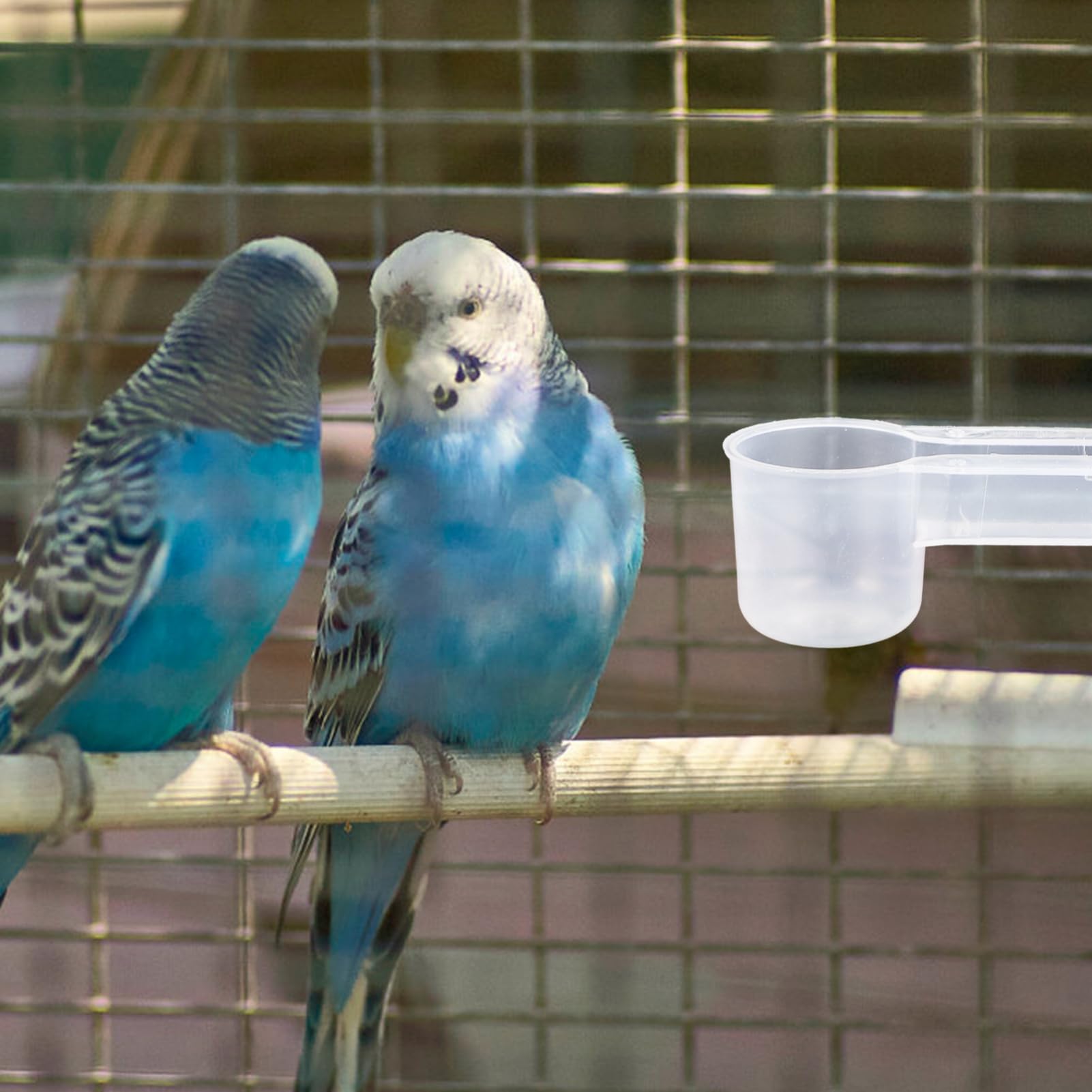 Hemobllo Dispenser Doppia di e o Bianco Uccelli Acqua Plastico in Pezzi 10 per da Bocca Resistente e Facile Pulire Pappagalli per Casa Negozio Animali