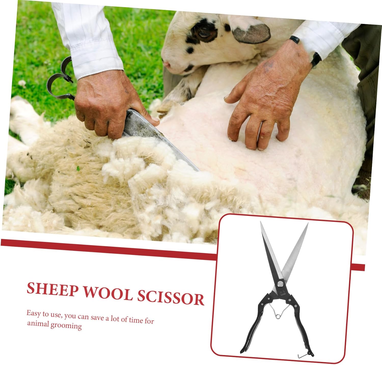 Toyvian 1set Sheep Shearing Scissors Manual Farm Animal Trimming Tool for Sheep Cows and Goats Ergonomic Grip for Comfortable Use Long