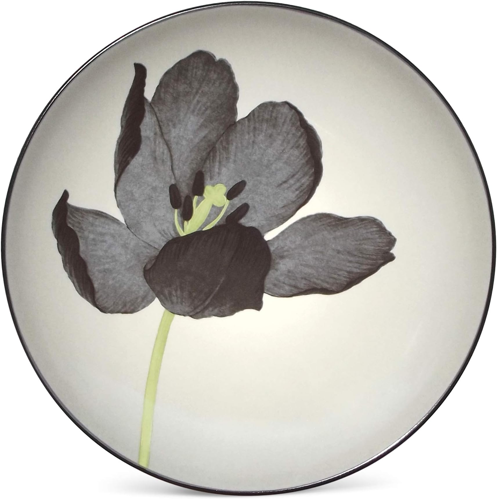 Colorwave Graphite Accent Plate, 8-Inch
