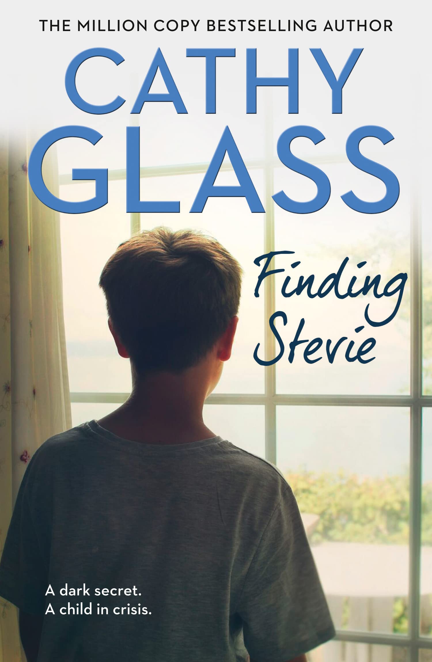 Finding Stevie: Dark Secret, A Child in Crisis