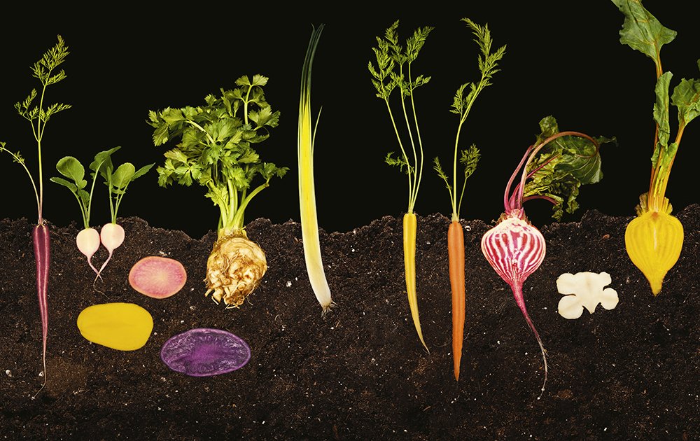 PHOTOGRAPHY OF MODERNIST CUISINE