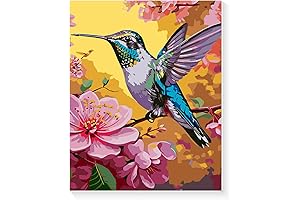 Ninonly Paint by Numbers with Framed Canvas: Unlock Immersive Creativity